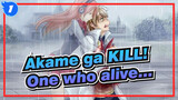 Akame ga KILL!|[Saddness]The one who survives is the one who suffers the most_1