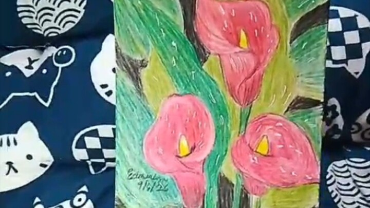 Our art card today is calla lily. I used colored pencils. #callalily #aceo #coloredpencil