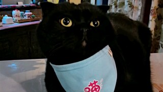 Apa bagusnya punya wajah hitam! Lihatlah perangkat lunak pengenalan semacam ini sampai kelelahan... 