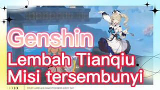 Lembah Tianqiu Misi tersembunyi