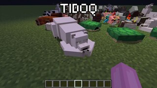 Tidoq