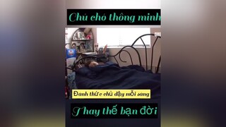 Thế là quá đủ r dog#pet#chó_cưng độngvật#cún#xuhuong#funy#fyp trending foryou#follow thinhhanh flowers