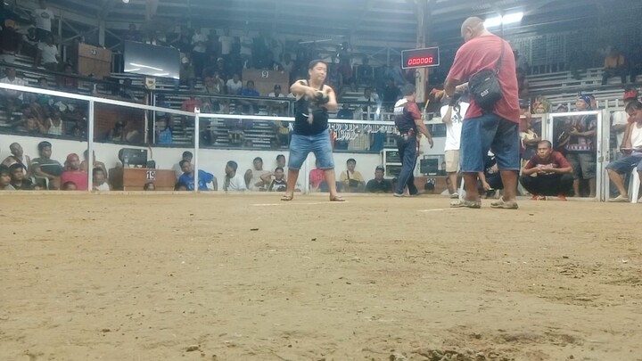 3rd fight using Alfredo Black🐓