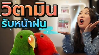 วิตามินรับหน้าฝน OMNI-VIT & PROBI-ZYME EP.198