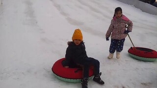 Family riding sled 2