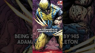 Is Sabretooth a better Version of Wolverine?