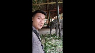 🐘มาเที่ยวหาน้ำเพชรลูกสุดรัก🐘🥰🥰🥰