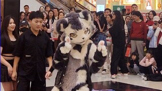 【Fursuit Dance】ซิลเวอร์ คาร์บอน กินตัน - (G)I-DLE 'SUPER LADY'