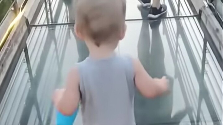 Glass Skybridge? OMG! Can this cute baby actually make it across?!
