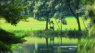 “我是木讷的树 你是自由的风”