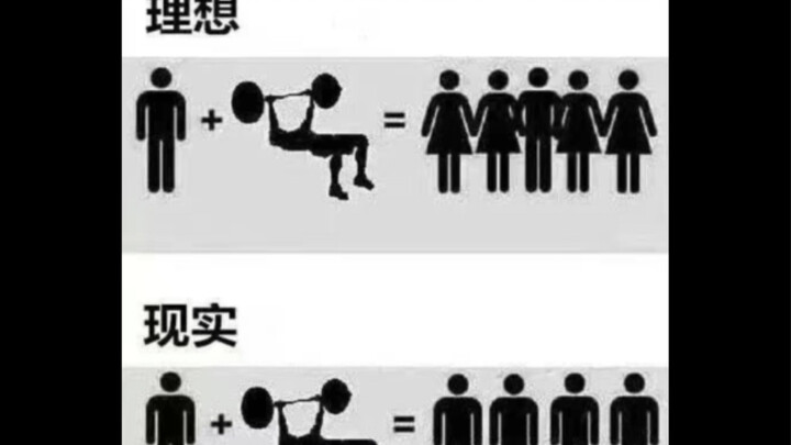 ภาพมีมตลกขบขัน｜ช่องว่างระหว่างอุดมคติกับความเป็นจริง