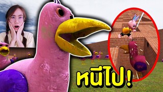 หนีไป !! กองทัพนก Opila bird บุกเขาวงกต | Mind&Nat