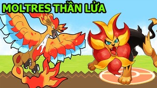 Tiêu Diệt Pokemon Huyền Thoại Chim Lửa MOLTRES - Pet Compact - Poke Đại Chiến Top Game Android Ios