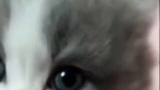 Làm thế nào để kết nối với những người chơi Cosplay tại các hội chợ truyện tranh?