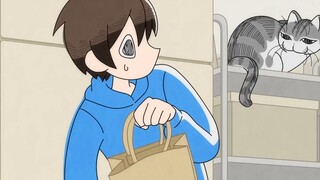 [Subtitel bahasa Mandarin dan Jepang] Suatu Malam Bersama Kucing/Setiap Malam Bersama Qiuqiu Musim 3