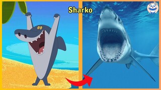 Zig & Sharko Characters In Real Life