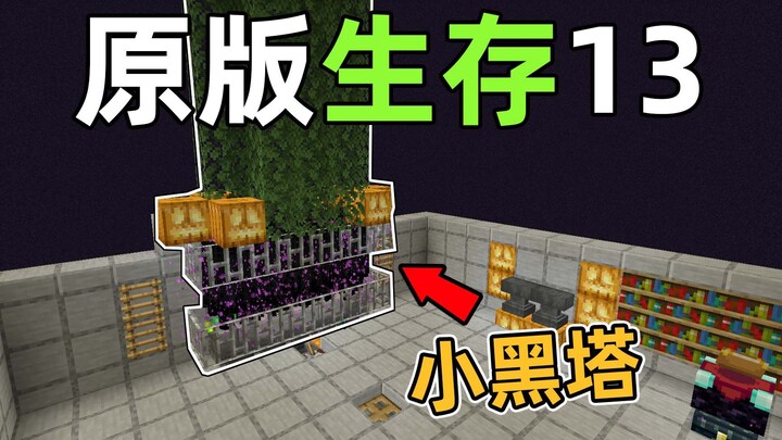 建造小黑塔，获取超多经验！一秒升几级？原版生存13我的世界