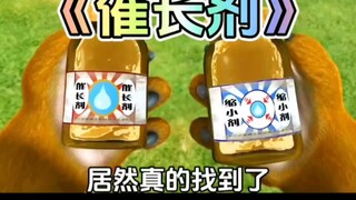 Bạn có nhớ tập phim Boonie Bears khi Gấu Lớn và Gấu Nhỏ tìm thấy chất kích thích tăng trưởng không?