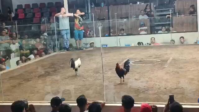 digmaan elimination 2025 national edition for the win