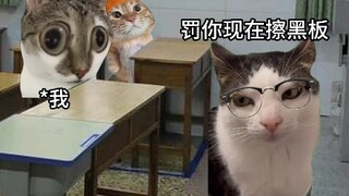 这一定是他最难忘的一天