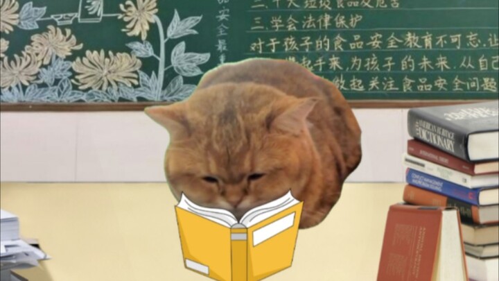 สภาพจิตใจในหนึ่งสัปดาห์