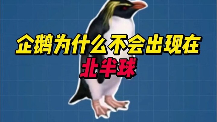 Benang tak terlihat ini menghalangi penguin!!!
