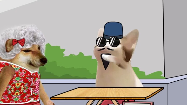 Careers in the eyes of elders