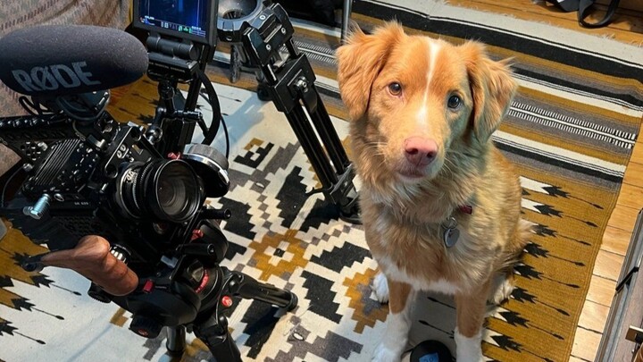 【Film/Layar Belakang】Foto-foto di balik layar sang pemeran utama Indy dalam film horor “Anjing Baik”