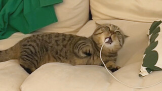 Charging station experiences daily leakage.