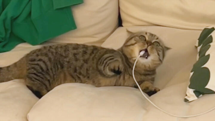 Charging station experiences daily leakage.