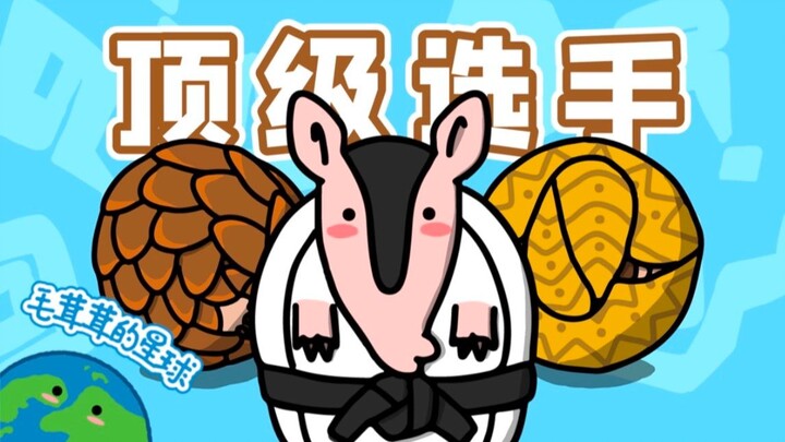 【آرماديلو】من يهتم بالأصل؟ مَن لا يرغب في أن يكون محاربًا بالمستوى الأقصى؟