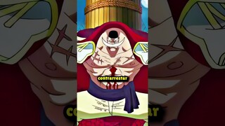 FRUTAS PROHIBIDAS de ONE PIECE (parte 1)