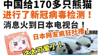 จีนกำลังตรวจหาเชื้อไวรัสโคโรนาในแพนด้ากว่า 170 ตัว ซึ่งเป็นกระแสที่แพร่ระบาดทางโทรทัศน์ในญี่ปุ่น และ