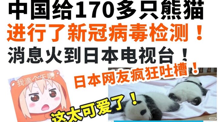 China is testing over 170 pandas for the coronavirus, a trend that's going viral on Japanese TV and 
