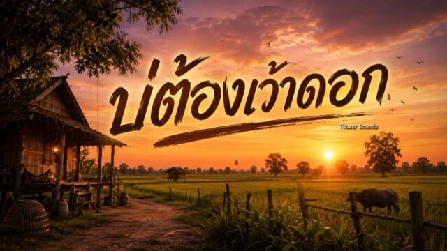 บ่ต้องเว้าดอก
