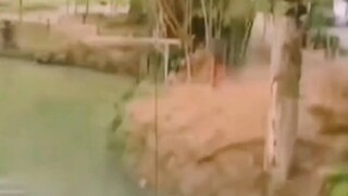 蜘蛛侠4：印尼风波