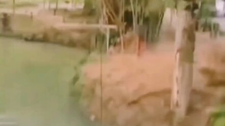 الرجل العنكبوت 4: أزمة إندونيسيا