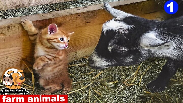 The Funniest Farm Animals#1- Funny Pets Videos 2021