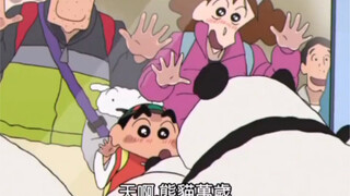 当小新来到了中国成都的时候，看熊猫