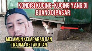 anak kucing Lagi Melamun Di Kolong Grobak Entah Di Mana Induknya..!