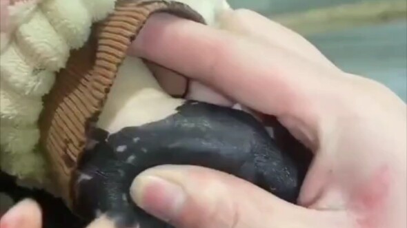 Already wielding Armament Haki at such a young age!