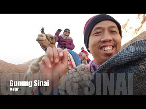Serunya Menjadi Guide Onta di Gunung Sinai