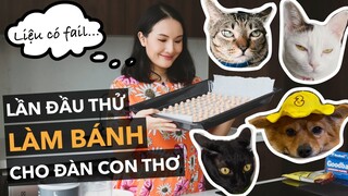 Lần đầu làm bánh thưởng chó mèo sóng gió thực sự