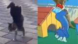 Phim tài liệu "Tom và Jerry"