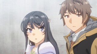 [Anak laki-laki berkepala babi tidak akan bermimpi tentang jam Bunny Girl X yang berlawanan arah] Me