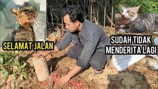 Allahu Akbar Kucing Liar Sengsara Banget Mulutnya Gak Bisa Mingkem Sudah Meninggal Dunia..!