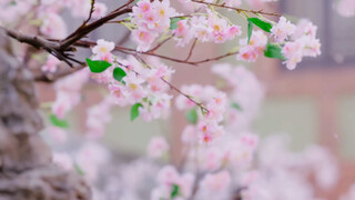 [กระจกเปล่าที่สวยงาม·ดอกไม้] สไตล์โบราณ|ดอกพีช|ป่าพีช|ดอกแพร์|กระดิ่งลม|ดอกบัว|ดอกพลัมแดงปกคลุมไปด้ว