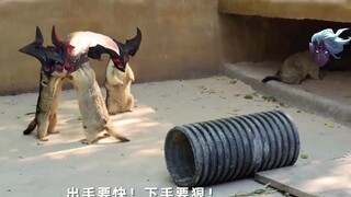 Kiếm Quỷ: Quỳ xuống, lũ sâu bọ kia!