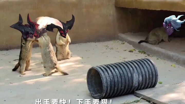 剑魔：跪下！你们这群蠕虫！