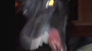 คอลเลกชันสำหรับผู้ใหญ่ที่ต้องอ่านเมื่อคุณเบื่อ!